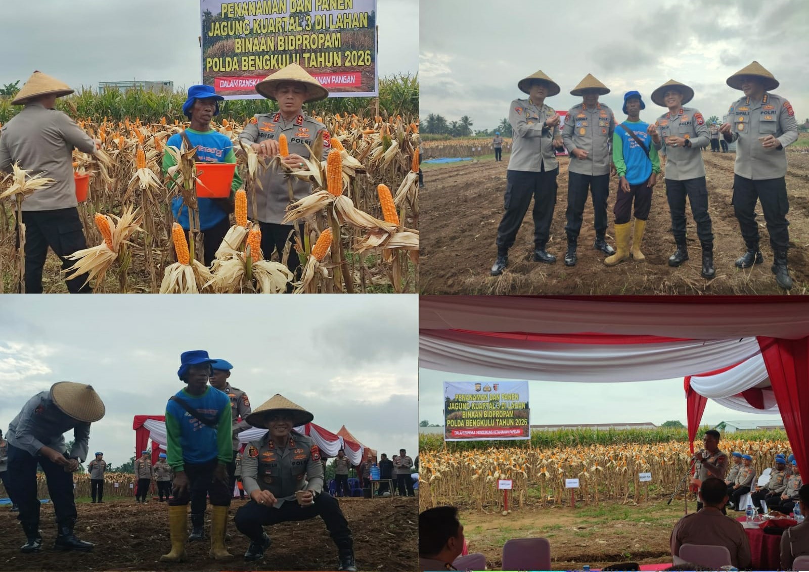 Dukung Program Ketahanan Pangan, Polsek Kampung Melayu Amankan Penanaman dan Panen Jagung Kwartal III